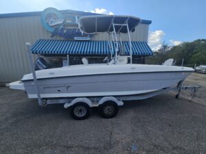 2018 21' BAYLINER ELEMENT F21.